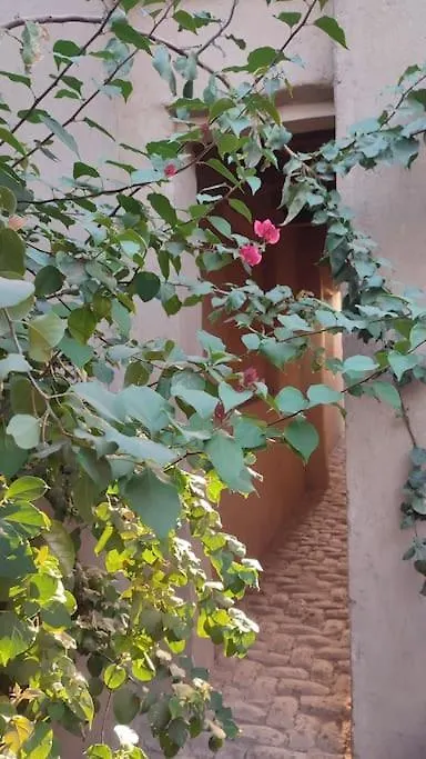 Ecolodge El Beit Luxor Egypt