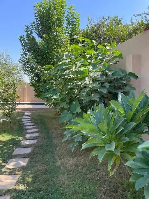 Villa Ecolodge El Beit Luxor Egypt
