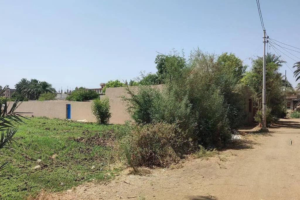 Ecolodge El Beit Luxor 0*,  Egypt