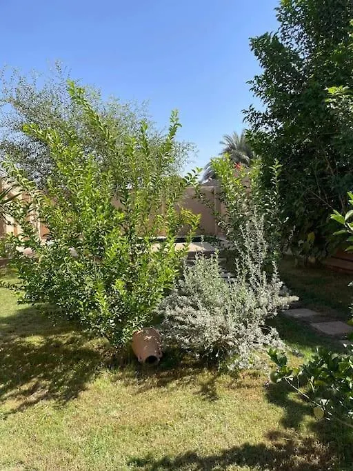 Ecolodge El Beit Luxor 0*,  Egypt